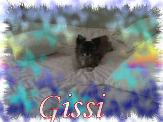 Gissi  - My Bed
