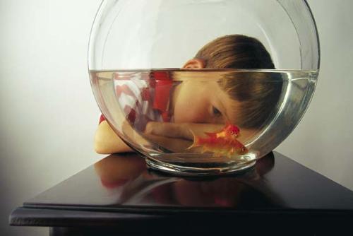 Life in a fish bowl - This photo depicts life in a fish bowl...no movement is undetected by viewers...