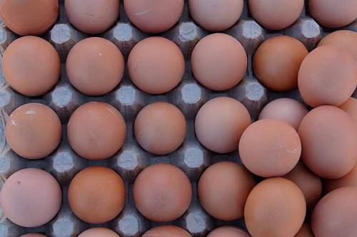 Fresh Brown Chicken Eggs - This is a photo of fresh brown chicken eggs...I got from out of the back yard...LOL

They taste so good and the freshness shows immedately upon cracking them...