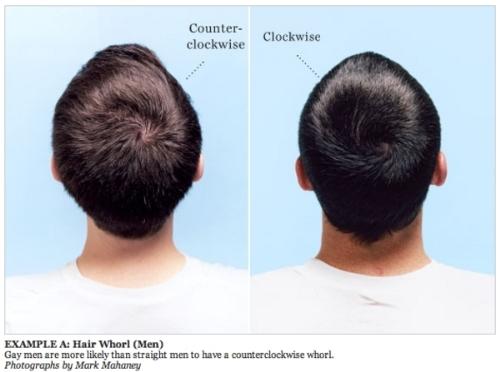 ways to check if your gay - homosexuality check