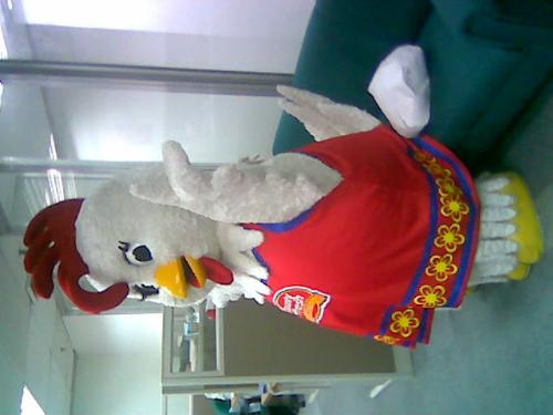 chicken - very big chicken