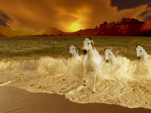 water horse - i find this photo really interesting.