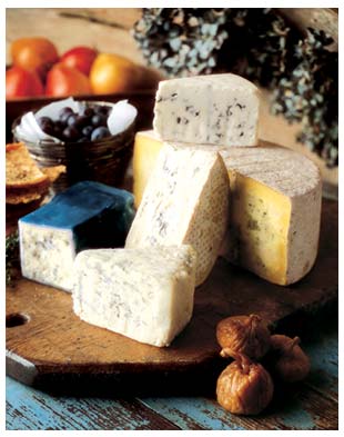 cheese - all type of cheese