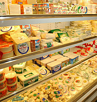 cheese - cheese bar, cheese store