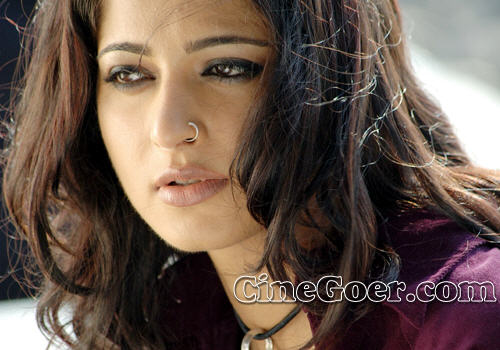 anushka - Spicy actress of tolly/kollywood.