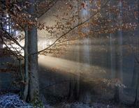 beautiful space - beautifui space