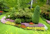 garden - flower garden