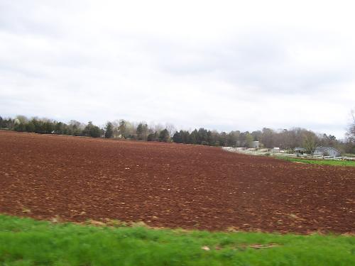 Cotton Farm - This is one of the many cotton farms found in Madison, Alabama.