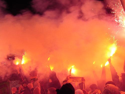 FC Vaslui - FC Vaslui supporters..
