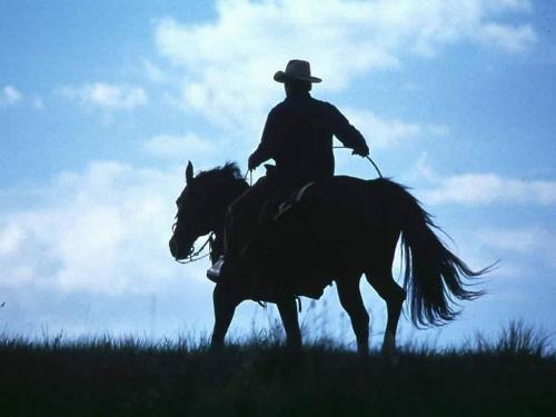 A Cowboy and his Horse - A cowboy and his horse riding into the blue.