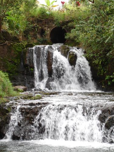 Kahili Falls - A gorgeous waterfall that we love taking trail rides to.