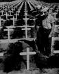 American war cemetary - Graves of young American men