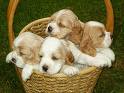 my babies :-) - babies