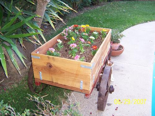 Flowers in the flower cart - Flower cart my husband made with zennias and lantana in it.