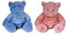 boy and girl teddies - Blue is normally a color for boys while pink is normally chosen for a girl.