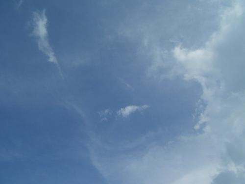 Face in Clouds - I took this photo yesterday - just cloud watching but when I downloaded the pictures I was surprised to see a face looking back at me. North of Jackson, Michigan, USA