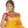 lady wearing sari - lady looking smart in sari lady wearing sari - lady looking smart in sari