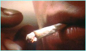 Cigarette smoking is dangerous to one's health - Quitting smoking cigarettes is a major decision in one's life. People who are able to kick the habit are truly admirable...it takes determination, self-control and discipline for one to be able to do it. thankfully, there are substitute products for cigaretes, so with a lot of support, people can actually shift from cigarettes to inhalers, etc.