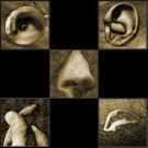 five senses - what would sacrifice if you were to loose one of your senses?