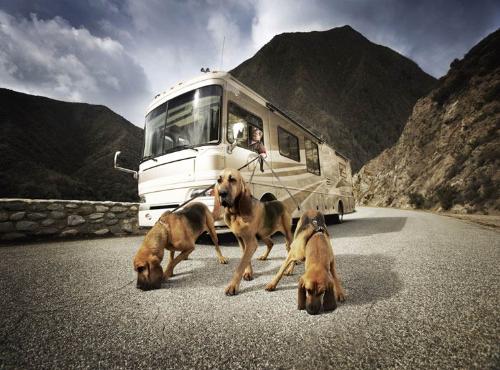 Amazing image3 - Amazing image..