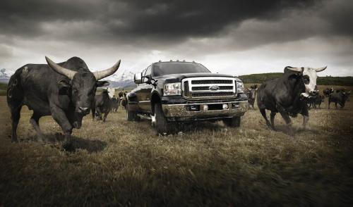 Amazing image6 - Amazing images..