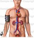 blood pressure - r u smoker ?want to know ur blood pressure,and its hazards?