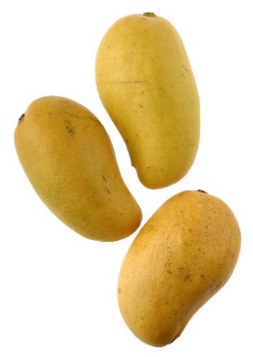 Mangoes - Yeah i love you very much my dear cute and tasty mangoes.