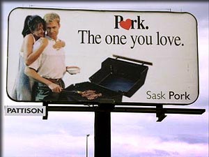Funny Road Signs - Its really quite funny what you will see when your observant..