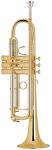 Trumpet is my second favorite instrument!!! played - Trumpet is my second favorite instrument!!! played it since fourth grade!!!