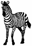 save the zebra, save the world. - This is animal is going to be endangered due to the inevitable global warming. Save him/her by consuming less gas and by decreasing your amount of time on the internet (like me).
