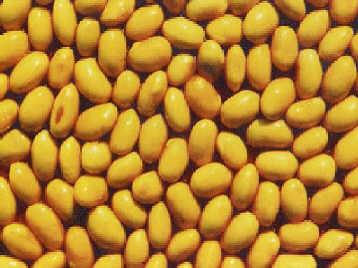 soy bean -  It is said eating more soy beans can prevent breast cancer.