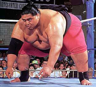 yokozuna - yokozuna the wwe's heaviest wrestler