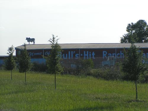 Amusing name on ranch barn - This "ranch" is really a potato farm. They make potato chips which they call Bull&#039;s Chips! It is located about 30 miles from where I live. The area is called the potato capital of Florida.