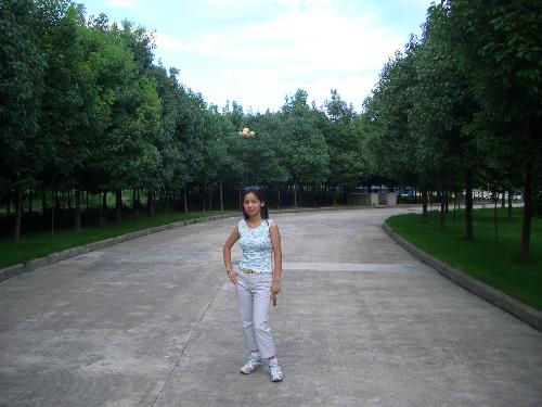 college path facing the east - fun time