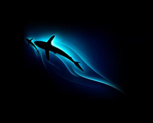 shark... - black shark...