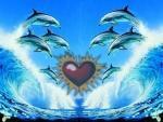 Dolphin flying to the heart - It is a pretty picture of dolphins flying to the heart. That they are jumping to be free.