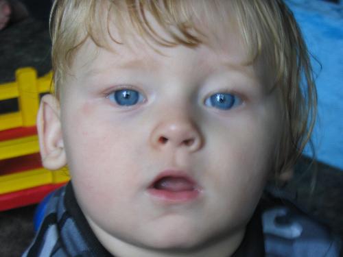 Big blue eyes - Here is my baby when he was smaller. Look at the size of the big blue eyes.
