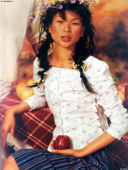 lv - model,lvyan