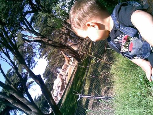 my son - my son at the zoo