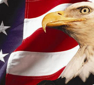 usa - the flag of the USA