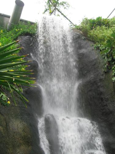 Tropical jungle waterfall at Eden Project - This is a stunning set piece in the Eden Project