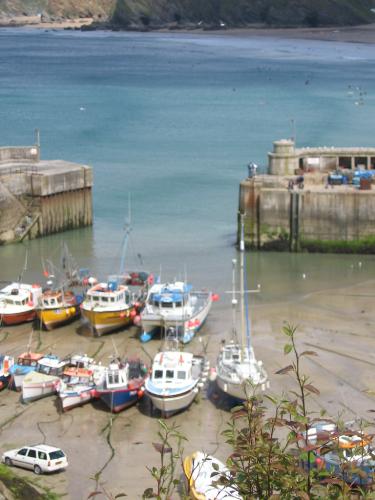 Newquay Harbour - Summer Solstice Day 2007