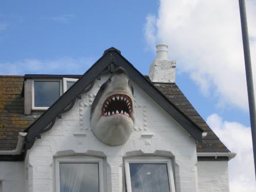 Newquay - This has to be one of the funniest picture ever. This is one of the guest houses in Newquay that is definitely aimed at the surfers