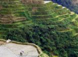 mayoyao rice terraces - the mayoyao rice terraces is found near the famous Banaue Rice terraces.
