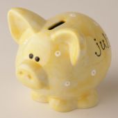 coin bank - piggy bank