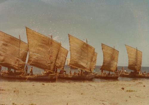 Binirayan - The reenactment of the so-called arrival of ten Malayan Datus in Antique at Malandog, Hamtic.