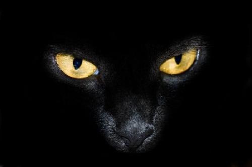 someone is watching - and waiting to grab you! May it be good or evil.