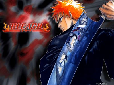 My Favourite Bleach anime Pictures - ichigo cool ...
