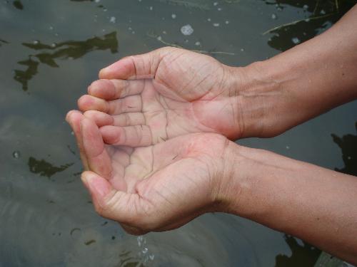 fishing - Can u fishing with ur hand like this? My uncle could.