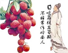 lychee - lychees and poets